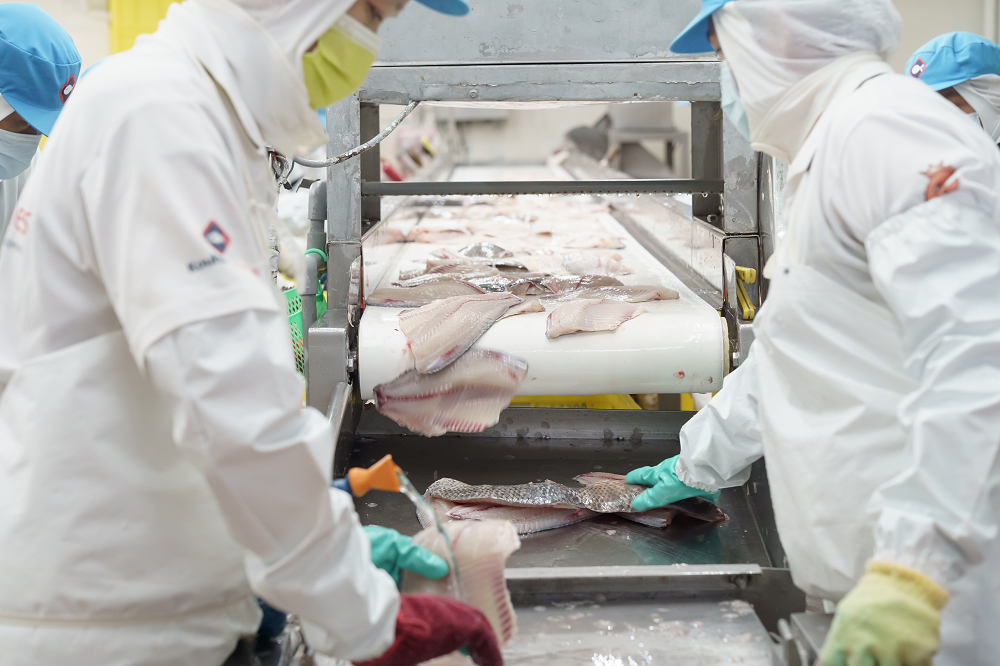 「全魚利用」，除了擷取食用魚肉，魚皮能製成皮革、魚鱗能萃取膠原蛋白做保健品、魚內臟和魚骨可磨碎做動物飼料等。